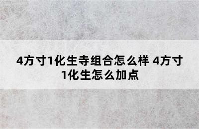 4方寸1化生寺组合怎么样 4方寸1化生怎么加点